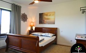 Seliga Sport Apartments